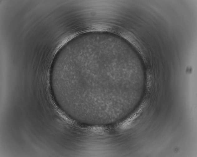 X0000097910834200803281401