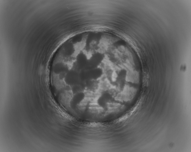 X0000097910835200803281401