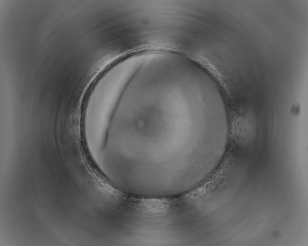 X0000097910836200803281401