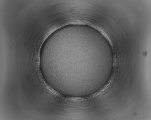 X0000097910837200803281401