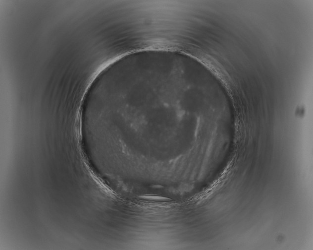 X0000097910838200803281401