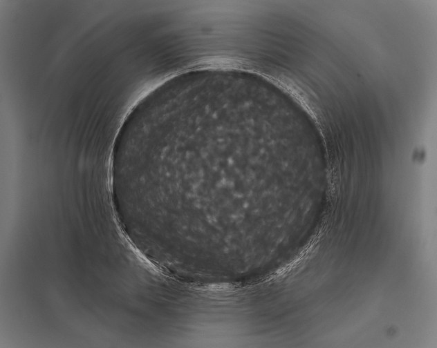 X0000097910839200803281401