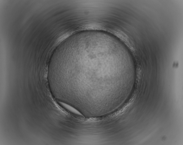 X0000097910841200803281401