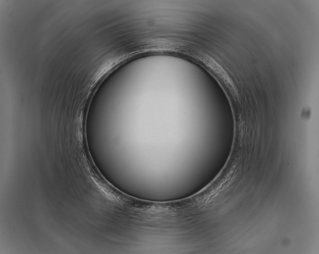 X0000097910842200803281401