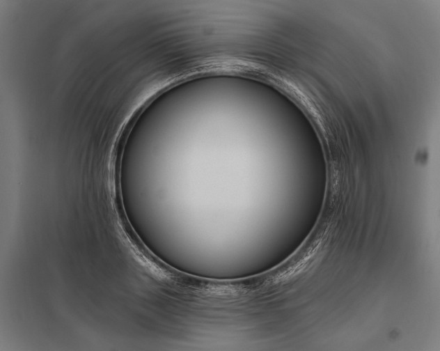 X0000097910843200803281401