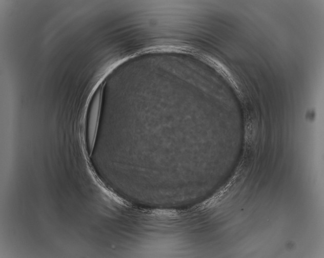 X0000097910844200803281401