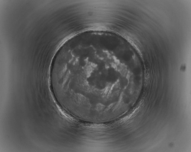 X0000097910845200803281401