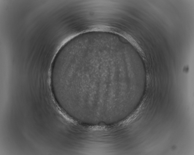 X0000097910846200803281401