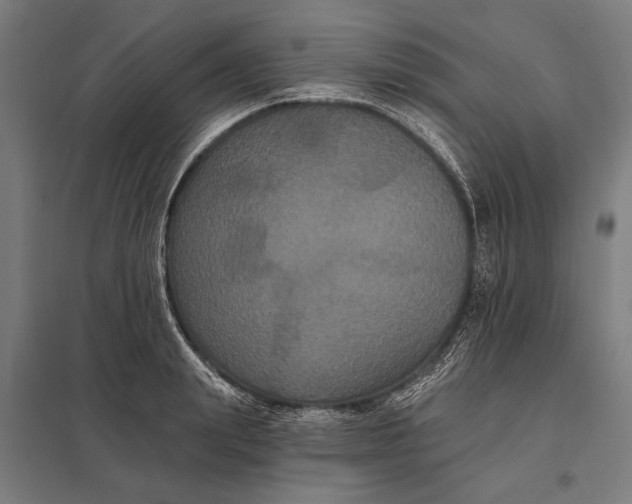 X0000097910847200803281401