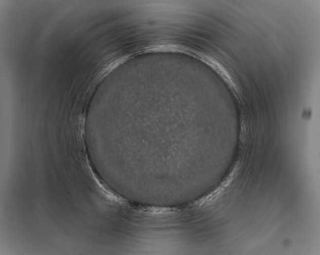 X0000097910849200803281401