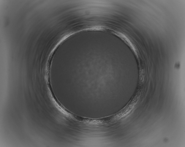 X0000097910851200803281401