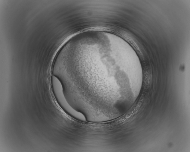 X0000097910852200803281401