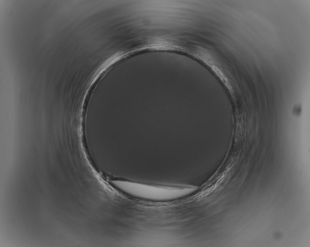 X0000097910853200803281401