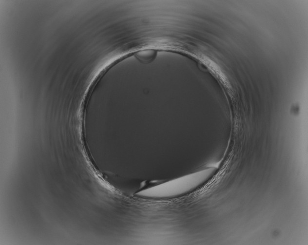 X0000097910854200803281401