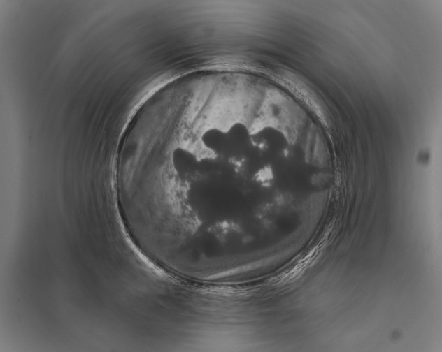 X0000097910855200803281401