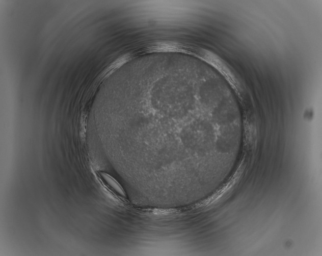 X0000097910857200803281401