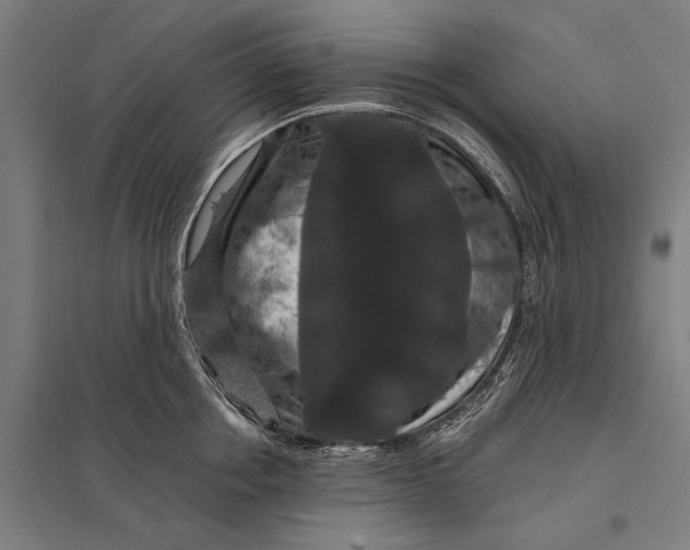 X0000097910858200803281401