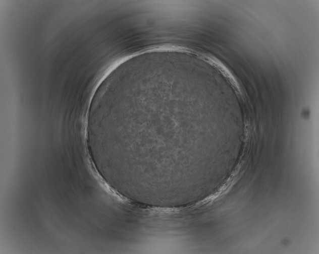 X0000097910860200803281401