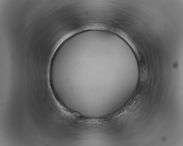 X0000097910861200803281401