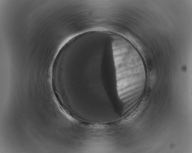 X0000097910862200803281401