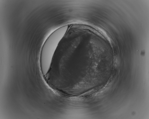 X0000097910863200803281401