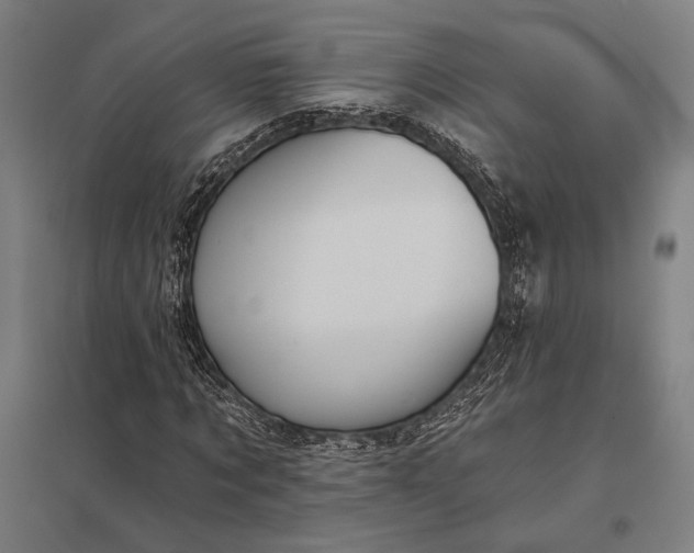 X0000097910869200803281400