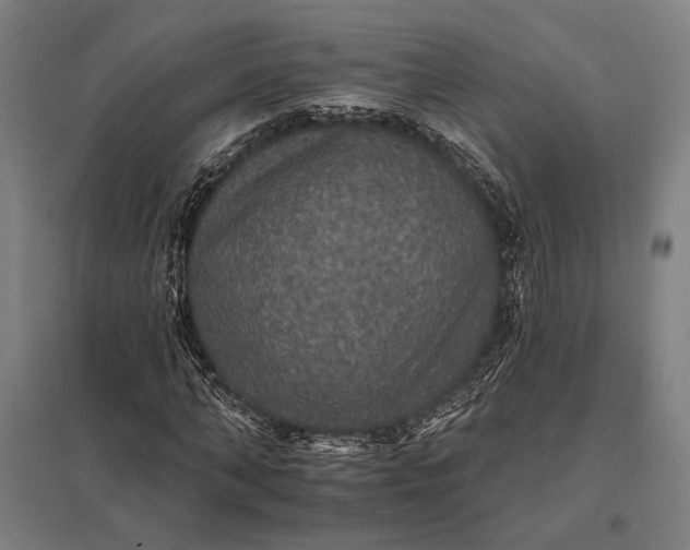 X0000097910870200803281400