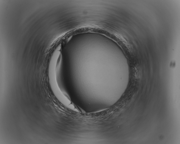 X0000097910872200803281400