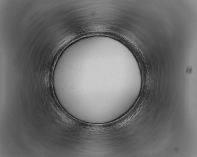 X0000097910873200803281400