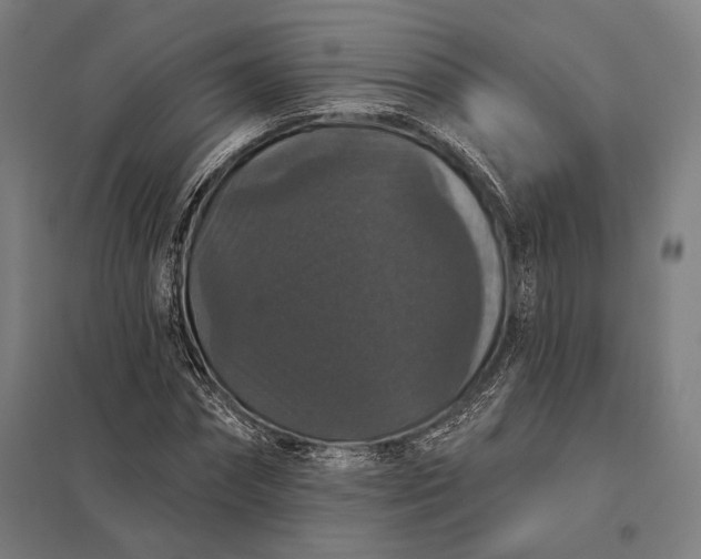 X0000097910874200803281400