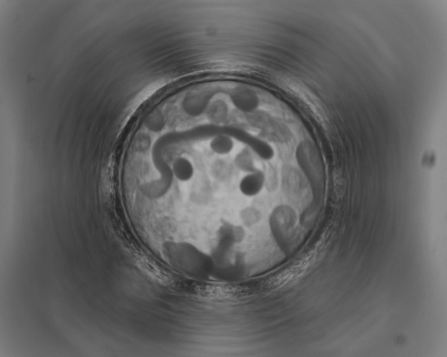 X0000097910875200803281400