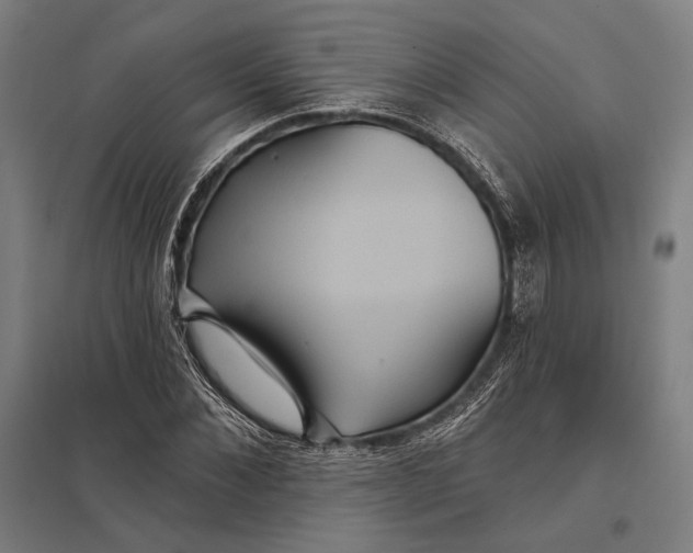 X0000097910876200803281400