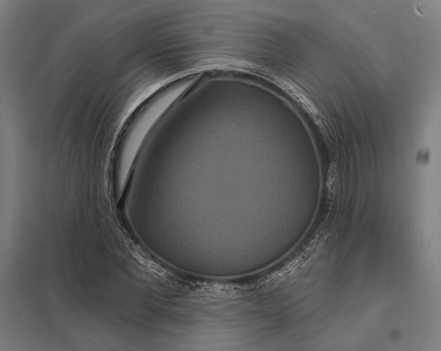 X0000097910877200803281400