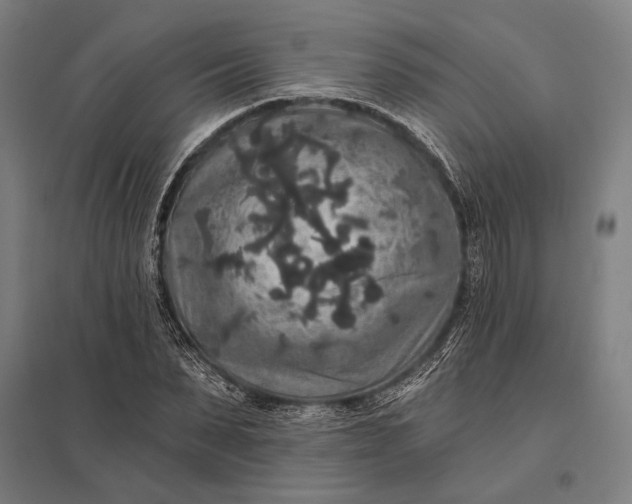 X0000097910879200803281400