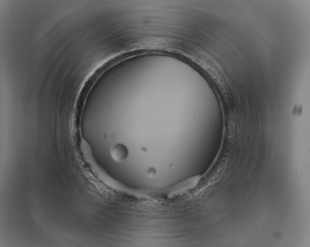 X0000097910880200803281400