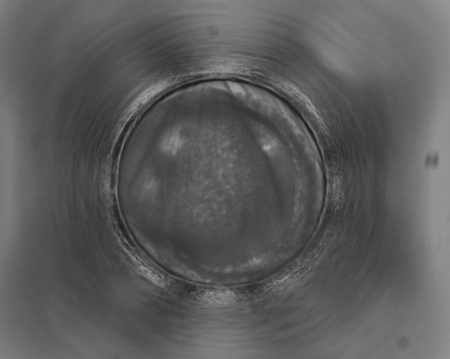 X0000097910882200803281400