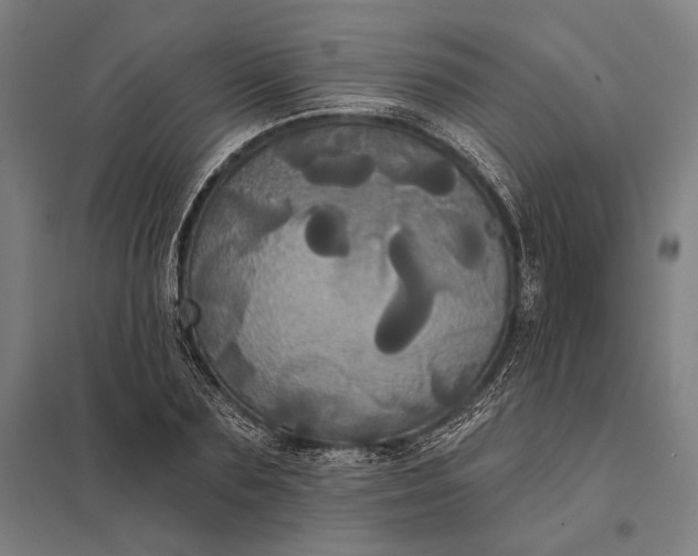 X0000097910883200803281400