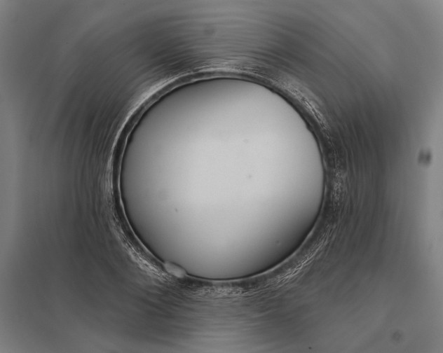 X0000097910884200803281400