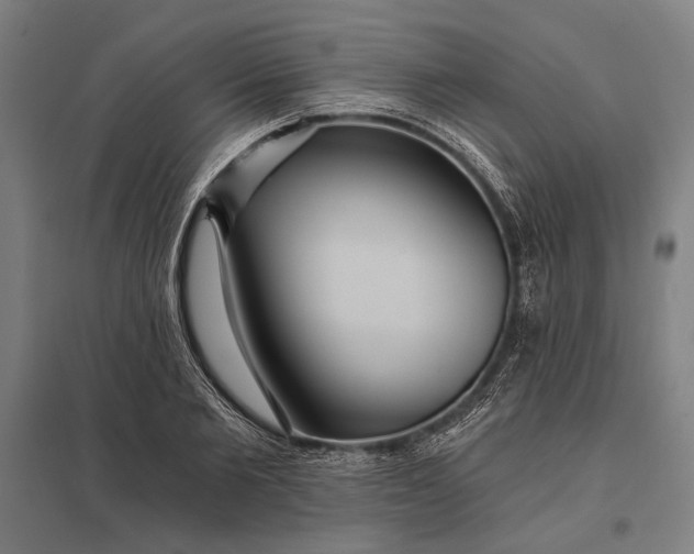 X0000097910885200803281400