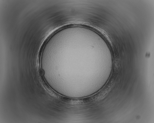 X0000097910887200803281400