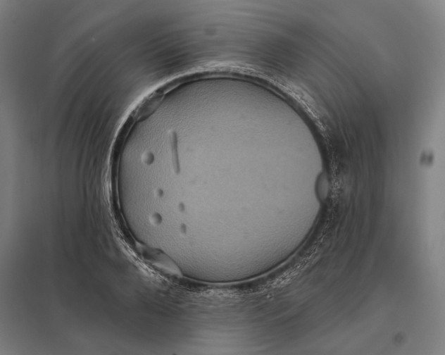 X0000097910888200803281400