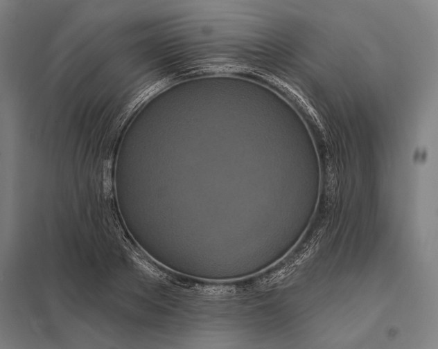 X0000097910889200803281400