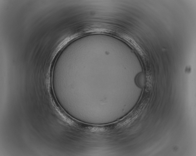 X0000097910890200803281400