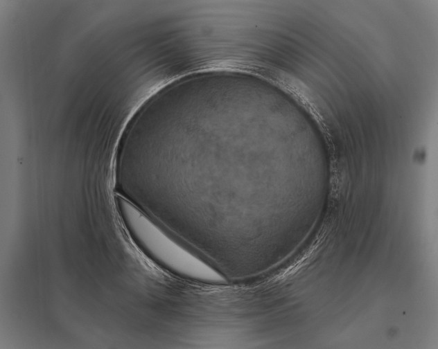 X0000097910892200803281400