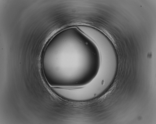 X0000097910893200803281400