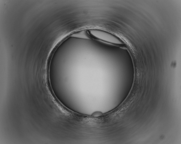 X0000097910894200803281400