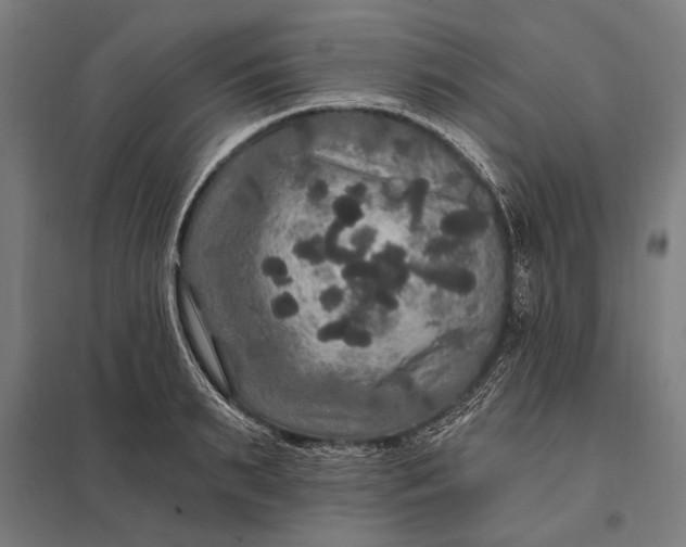 X0000097910895200803281400