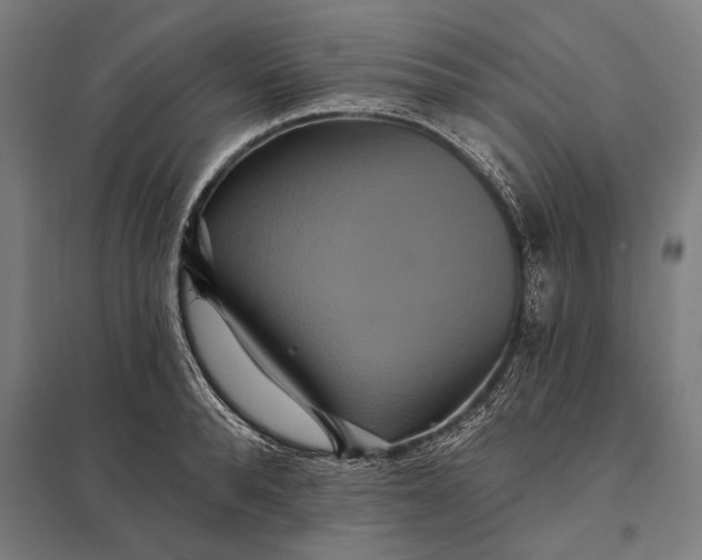 X0000097910896200803281400