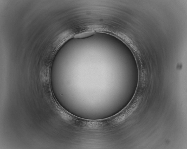 X0000097910897200803281400