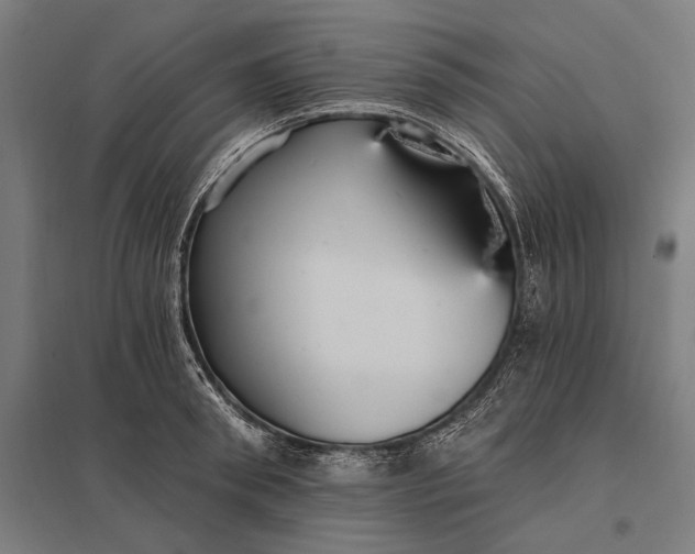 X0000097910898200803281400